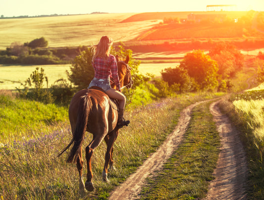 Saddle Up: Exploring the Best Places to Ride Horses in the United States