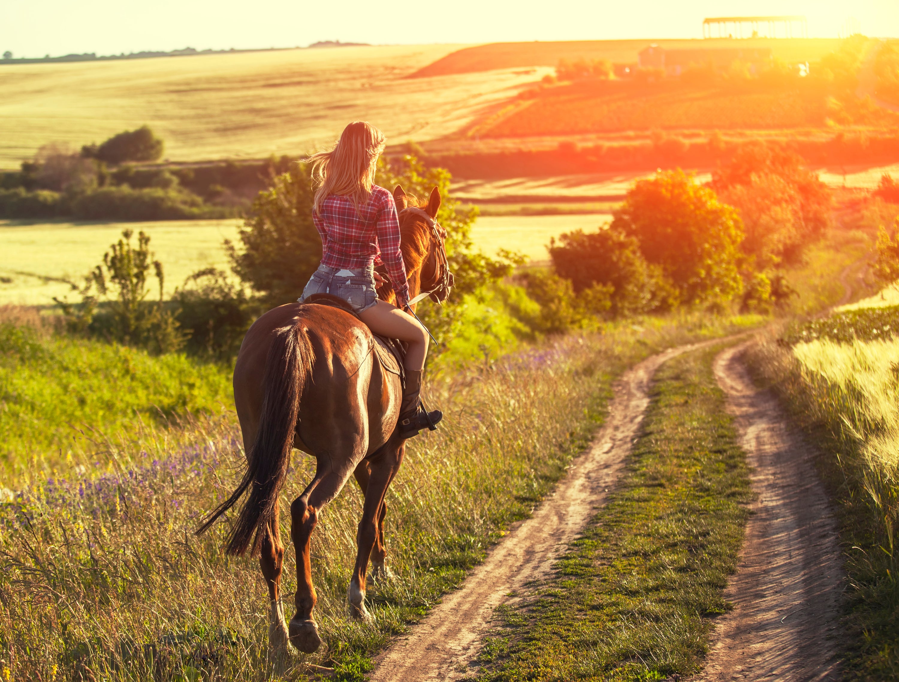 saddle-up-exploring-the-best-places-to-ride-horses-in-the-united-stat